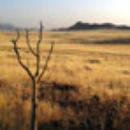 Blue Star Restaurant